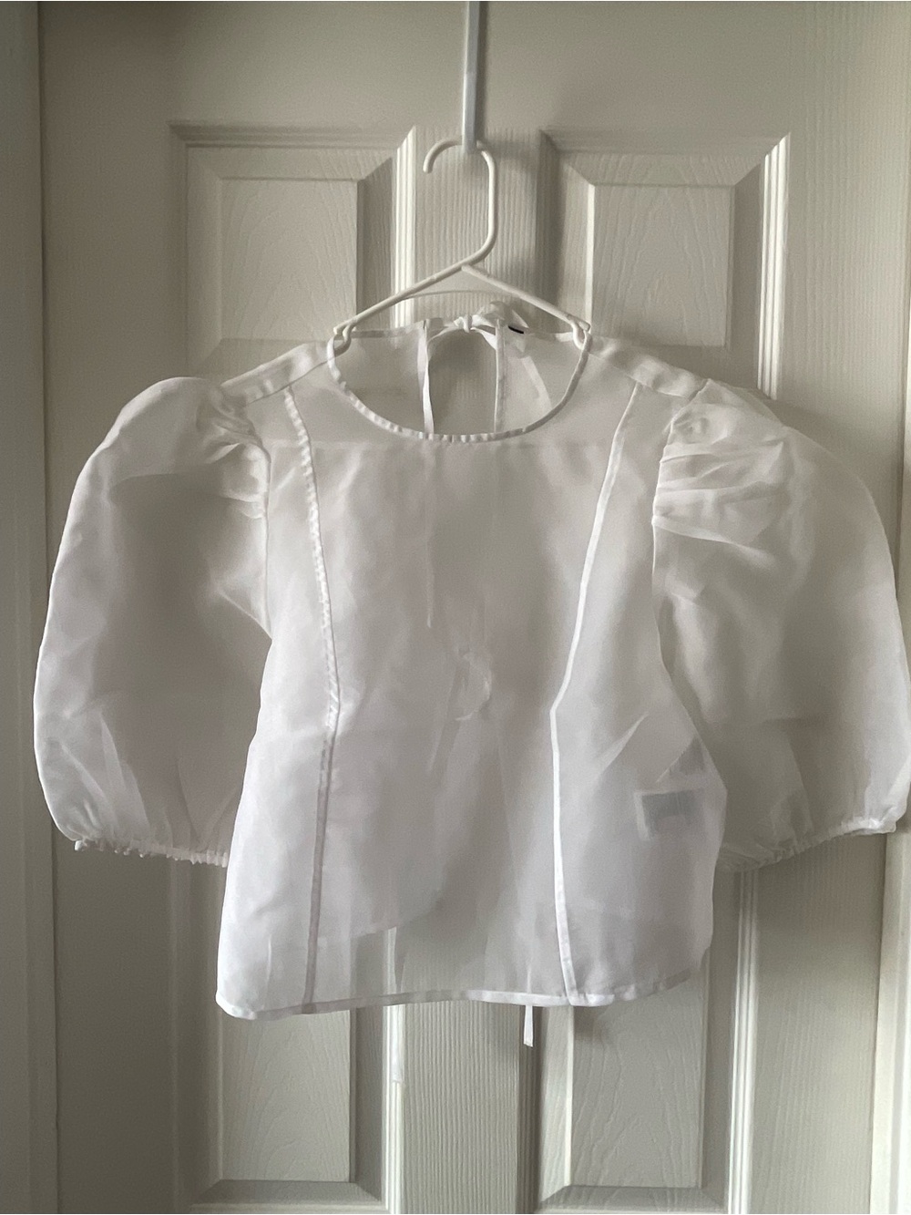 H&M White Sheer Puff-Sleeve Blouse